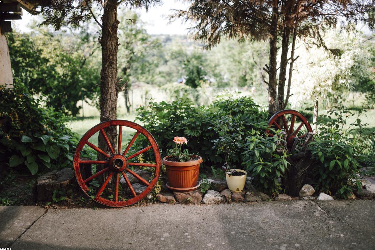 Potager en bacs surélevés sur une terrasse ensoleillée dans un jardin de ville à Lyon